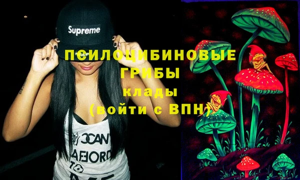 крисы Киреевск