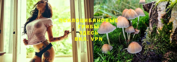 apvp Кинешма