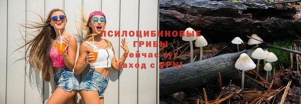 apvp Кинешма