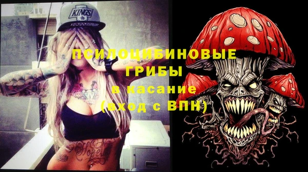 крисы Киреевск