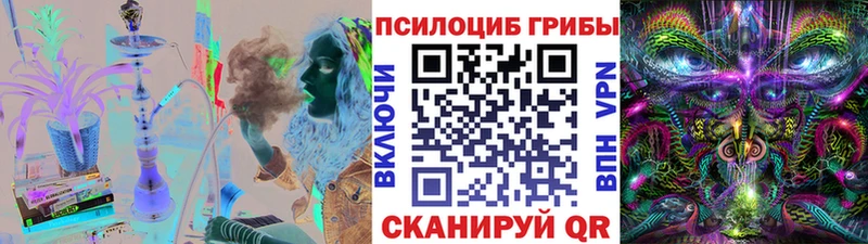 Купить где  Вятские Поляны  Галлюциногенные грибы мицелий 