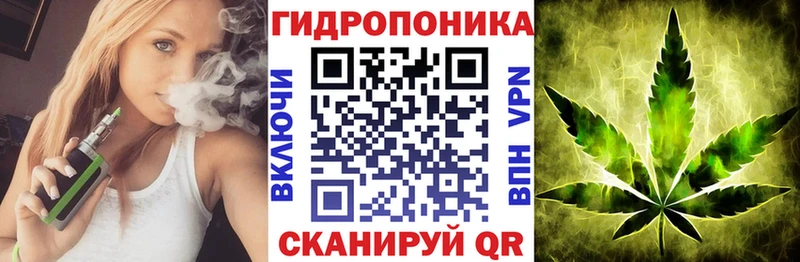 Купить закладки  Вятские Поляны  Бошки марихуана тримм 